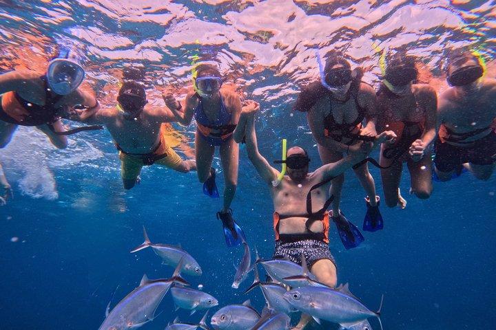Cozumel Cruise Shore Excursion Catamaran and El Cielo 5 hours