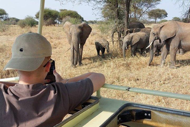 6 Day 5 Night Tanzania safari amazing adventure