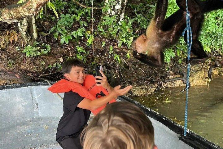 Jungle Adventure & Gatun Lake Cruise with Panama Vibes Tours
