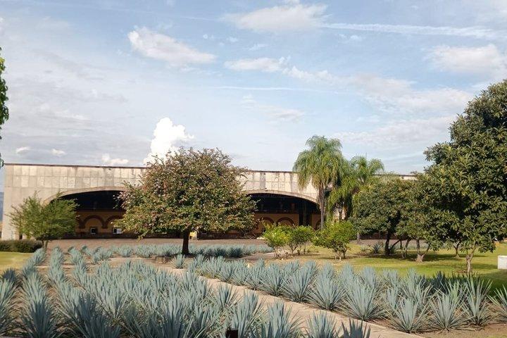 Horseshoe Distillery Tour with Premium Tasting from Guadalajara