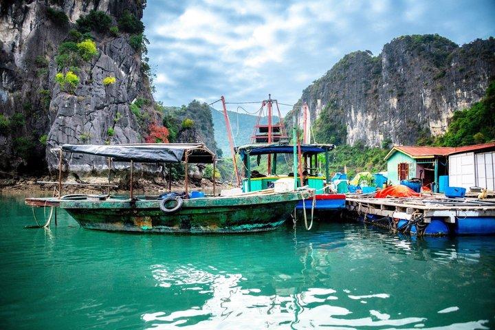 Day Trip to Bai Tu Long Bay Hidden Gems and Cave Exploration