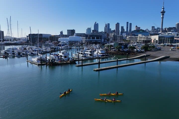 Sea Kayaking Adventure to Chelsea Sugar Factory