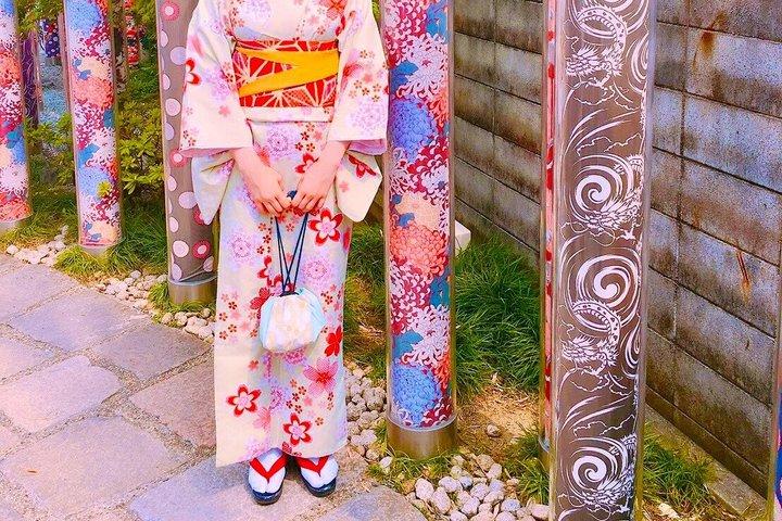 Kyoto tour: 3 Photogenic Sites from Nagoya with Lunch