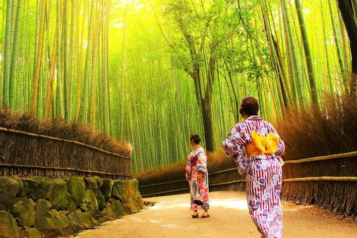 1 Day Kyoto UNESCO World Heritage Sites Bus Tour