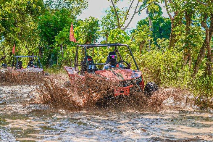 ATV & Buggy Adventure to Macao Beach and Taino Cave
