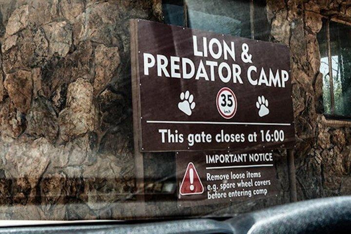 Rhino & Lion Nature Reserve Mini Safari Tour
