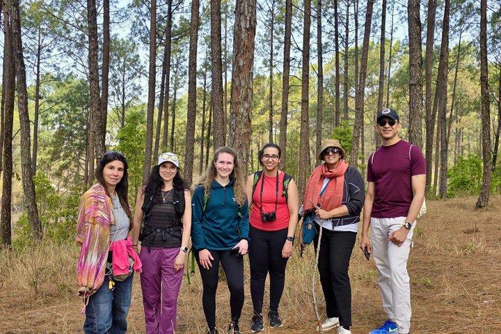 Nagarkot Sunrise View & Day Hiking with Lunch - Private/Group