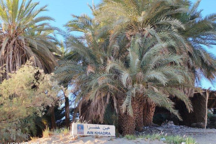 2-Day White Desert Safari Camping from Cairo Bahariya