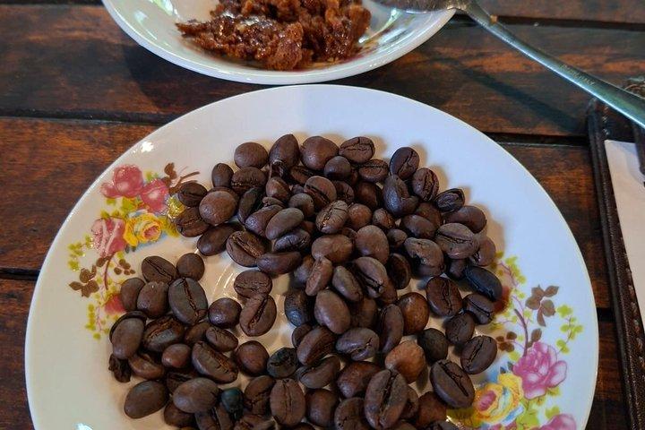 Coffee Plantation Hotel Tour at MesaStila Resort fr Semarang