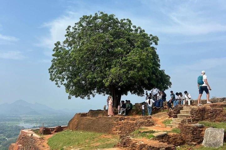 Sigiriya 2Day 1Night Tour with Hotel and Entrance Fees