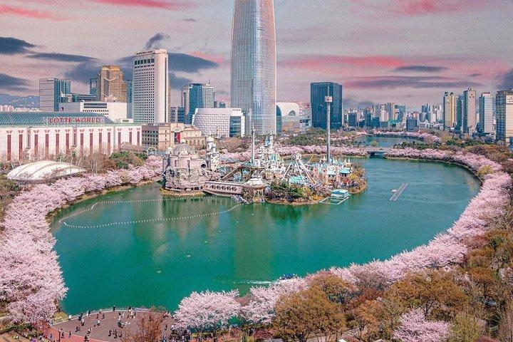 Seoul Lotte World Adventure Admission Tickets with options