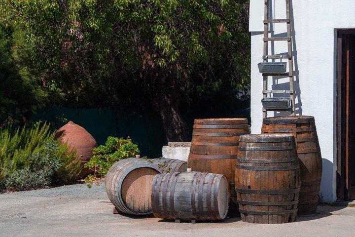 Crete Food & Wine Tour: Olive Oil, Cheese & Wine Tasting