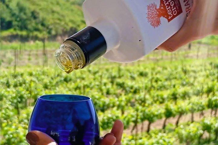 Olives & Olive Oil Tasting + Wine tasting (3 in 1 Experience!)
