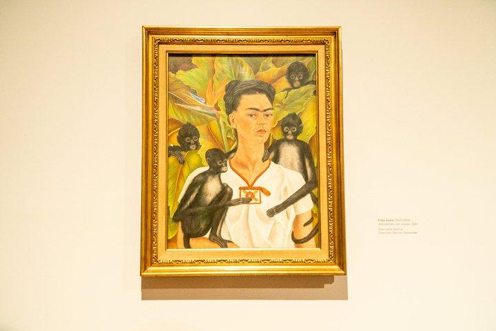 Mexico City Modern Art Museum Tour