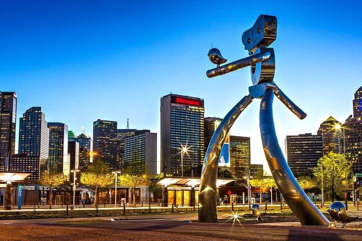 Roundtrip Private Transfer from Dallas Airport (DFW)