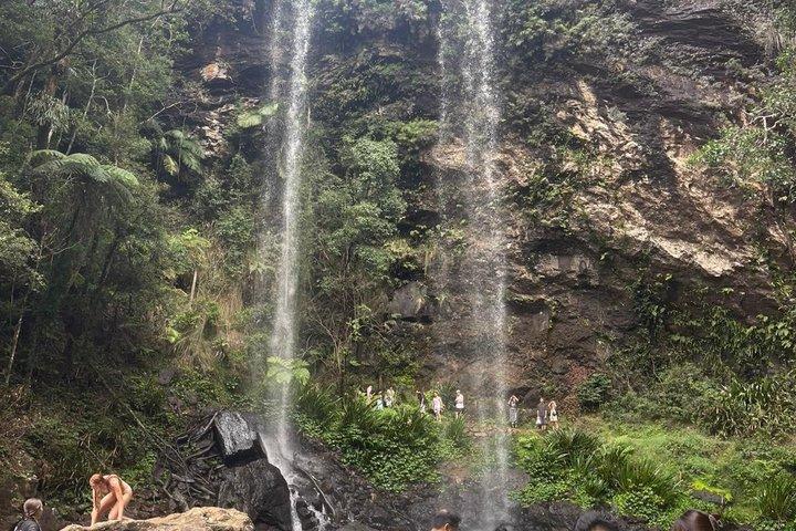 Gold Coast Hinterland Waterfalls & Rainforest Private Tour