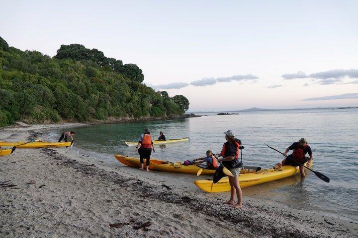 Auckland Tiritiri Matangi Island Sea Kayak and Penguin Tour