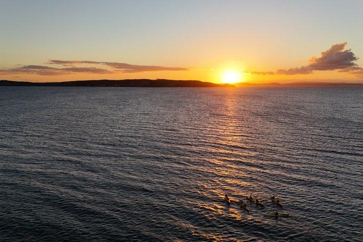 Auckland Tiritiri Matangi Island Sea Kayak and Penguin Tour