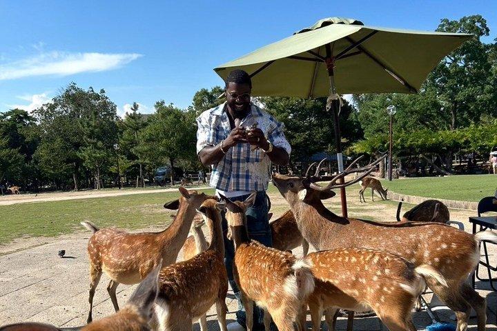 Osaka and Nara Private Car Tour with a Local English Guide Driver