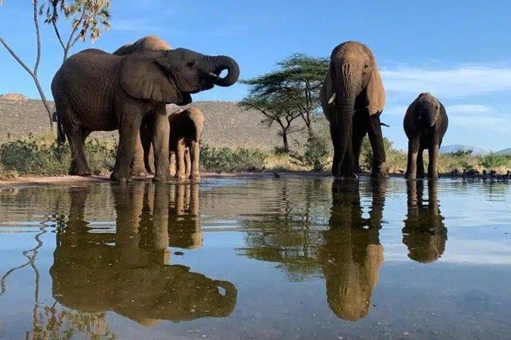 6-Day Magical Kenya Safari Escape