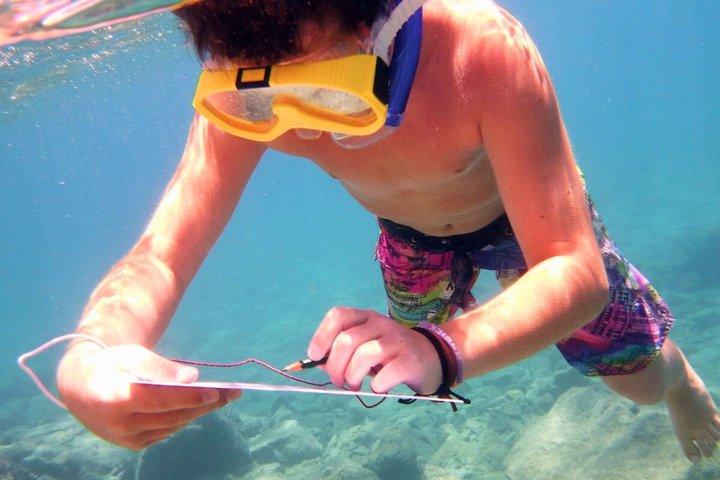 Heraklion: Morning/Sunset Sailing Experience-Dia Island & Lunch