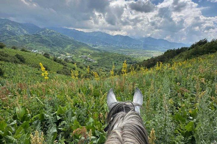 Scenic Horseback Riding Experience in Ile-Alatau National Park
