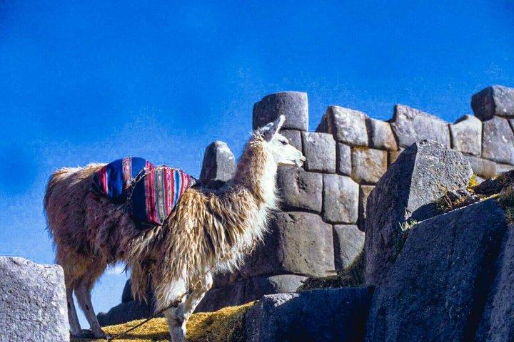 From Cusco City Tour Four Ruins Half Day Tour