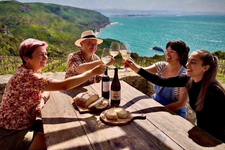 Lisbon: Private Setúbal & Arrábida Wine Tour - All-Inclusive