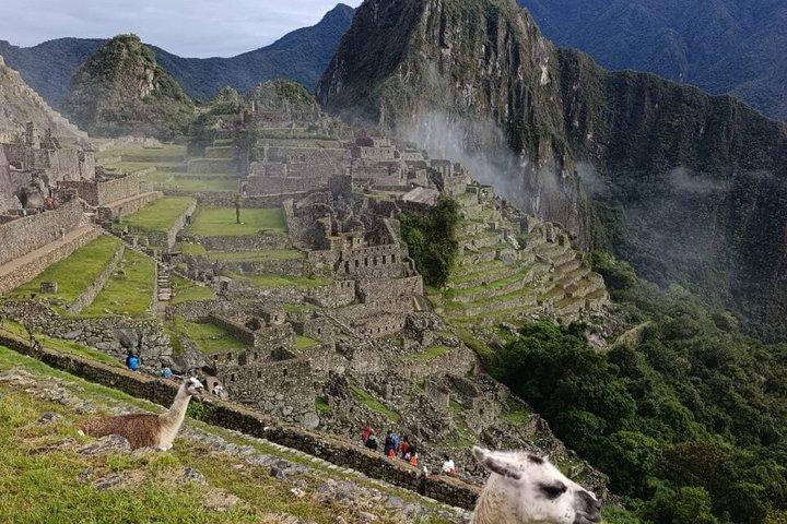 Machu Picchu Shuttle Bus Round-Trip Tickets from Aguas CalienteS