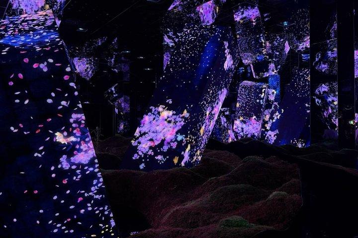 Tokyo TeamLab Planets Admission