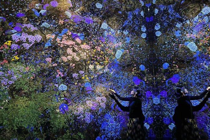 Tokyo TeamLab Planets Admission
