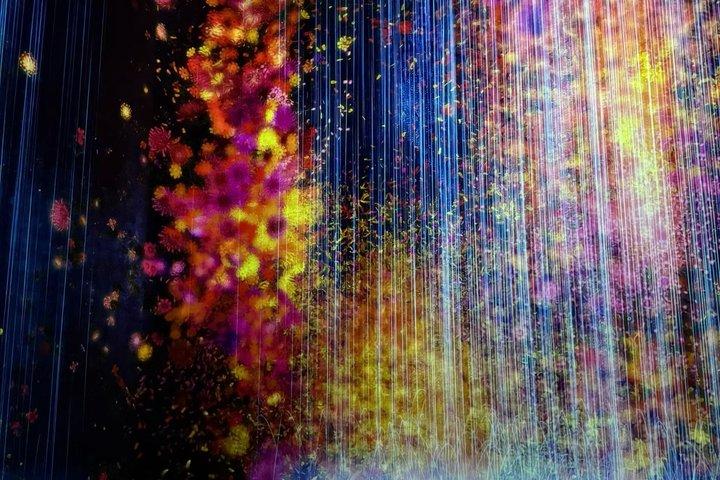 Tokyo TeamLab Planets Admission