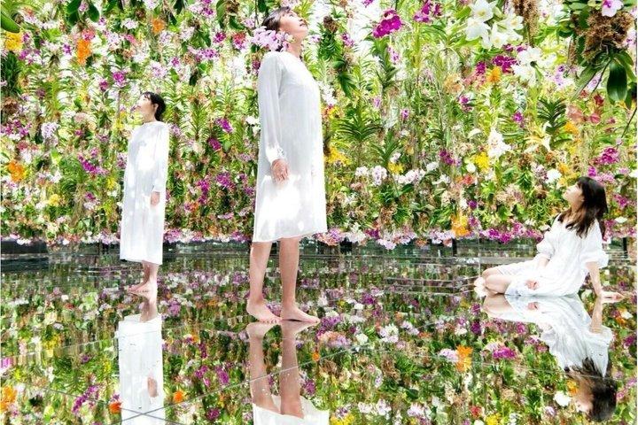Tokyo TeamLab Planets Admission