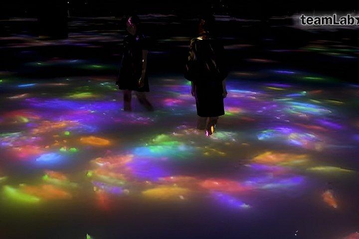 Tokyo TeamLab Planets Admission