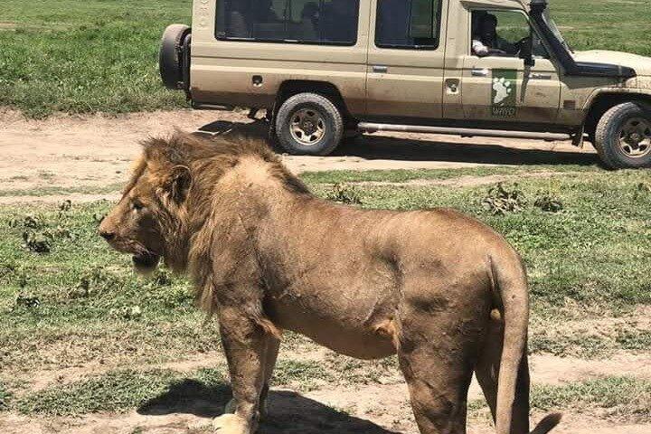 6 Day 5 Night Tanzania safari amazing adventure