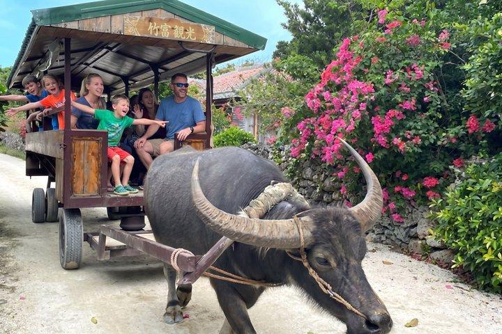 Okinawa Private Tour — Driver and Guide Included 1–8 Guests (8h)