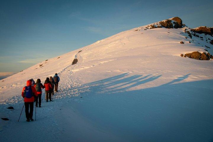 1 Day Mount Kilimanjaro Trek Marangu Route Adventure