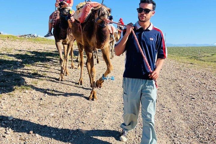 Marrakech: Agafay Desert Quad & Camel Rides with Dinner Show