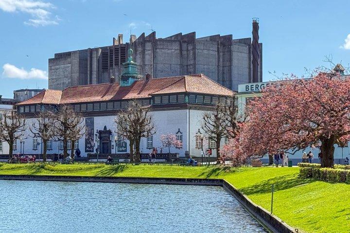 City Walking Tour - Bergen On Foot
