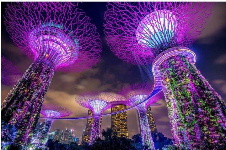 Starry Cruise Spectra by boat W Sling, Satay, Dinner & Rhapsody