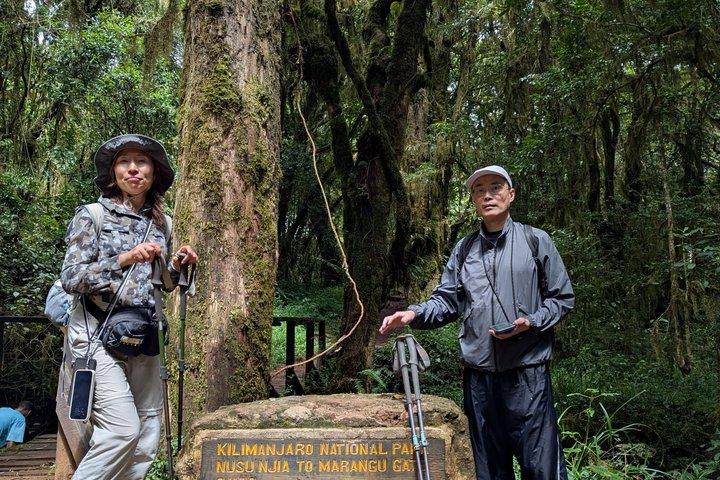 Kilimanjaro Day Trip from Moshi – Best One Day Hiking Tour