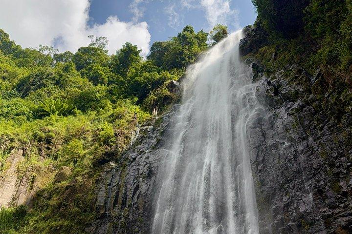 Moshi: Materuni Waterfalls Hike, Traditional Lunch & Coffee Farm