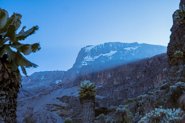 8 Days Kilimanjaro Hike via Lemosho Route