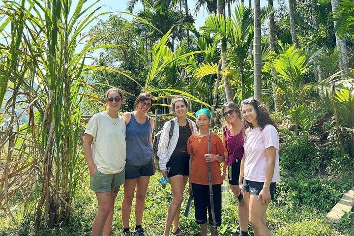 From Hanoi/Ninh Binh:Pu Luong Trekking Authentic Village Day Trip