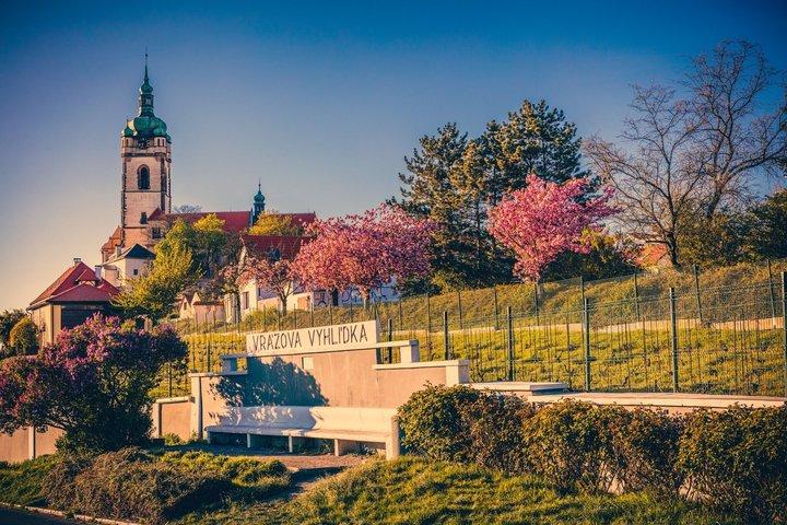 From Prague: Private Bohemian Wine Tour & Local Delicacies