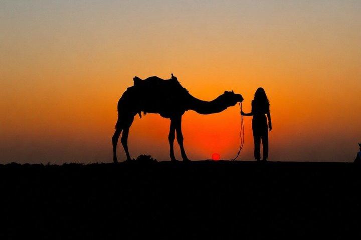 Private Sunset Camel Ride in Agafay with Dinner and Fire Show