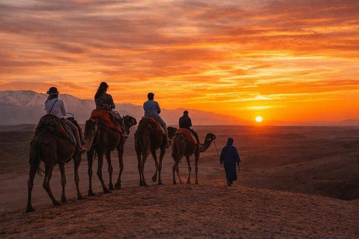 Agafay Desert Dinner, Camel Ride, Fire Show & Traditional Music