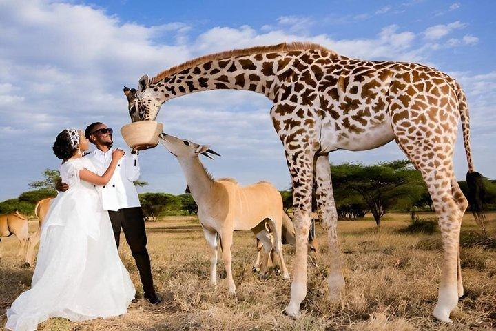 8 Days Private Honeymoon Safari