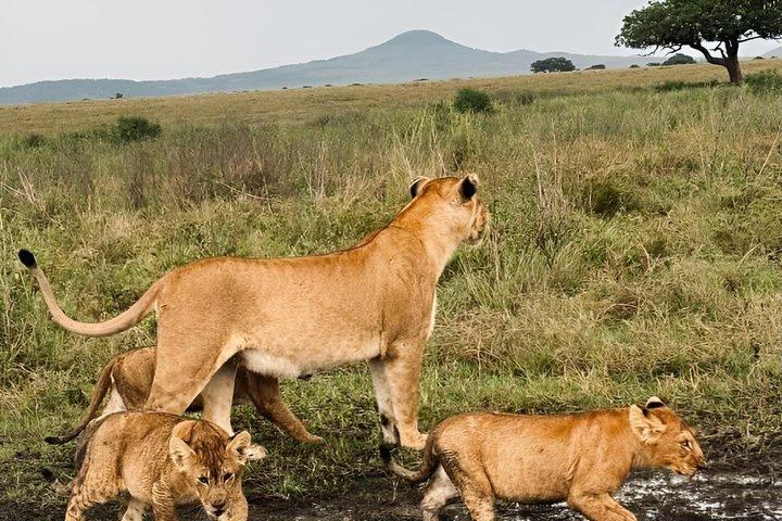 8 Days Private Honeymoon Safari