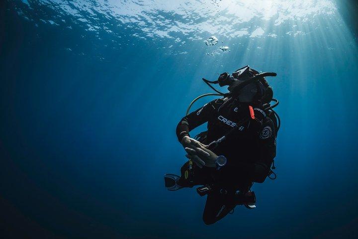 Cabo San Lucas Certified Scuba Diving: 2 Dives with Private Guide
